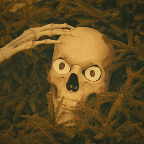 giphy.gif