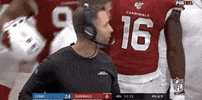 Regular Season Football GIF by NFL