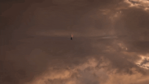 Dave Meyers GIF by P!NK