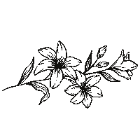 Flowers Plants Sticker