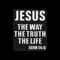 The Way Life GIF by Pinned Pins