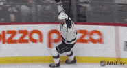 Celebrate Ice Hockey GIF by NHL