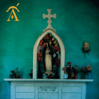 flores arlequÃ­n GIF