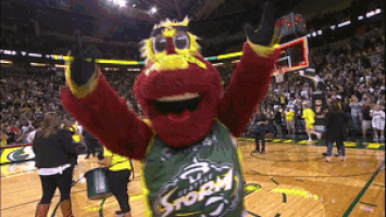 Excited Seattle Storm GIF by WNBA