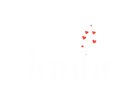 Junho Sticker