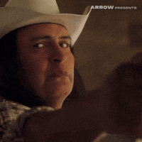 Jim Cummings Film GIF by Arrow Video