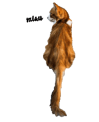 FrescoDog frescodog frescofood frescodogfood Sticker