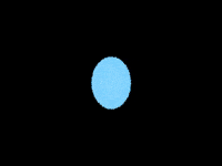 Art Animation GIF by Lucie Mullen