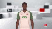 Fc Augsburg Football GIF by Bundesliga