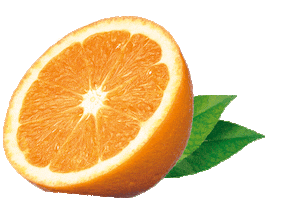PROTINA green orange fruits magnesium Sticker