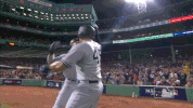 new york yankees sport GIF by MLB