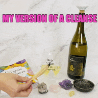 LeahVanDale cheers wine drinks salute GIF