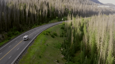 GIF by VICE DOES AMERICA