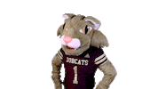 Boko Sticker by Texas State University