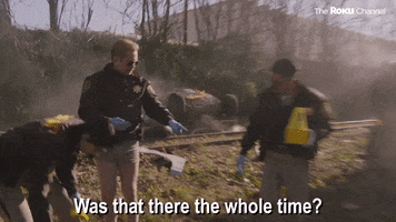 Reno 911 GIF by The Roku Channel