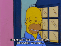homer simpson GIF