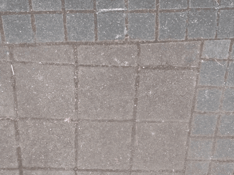 Kompetenzzentrum_FWD giphyupload dpwv parität wirsindparität GIF