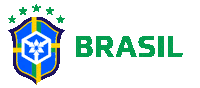 Fifa Br Sticker by Awaken