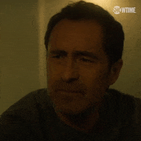 Season 1 GIF by SHOWTIME