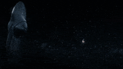 Cosmospossibleworlds GIF by cosmosontv