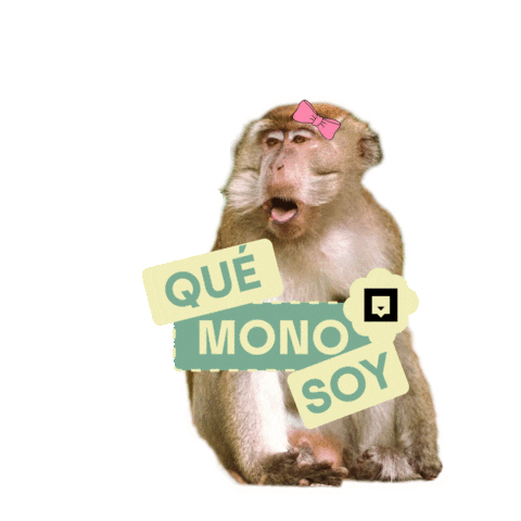 Monkey Mono Sticker by Nubika Formacion