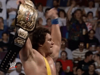wwe sports wwe wrestling 1993 GIF