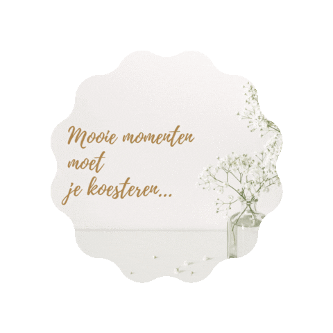 Fotoster giphygifmaker Sticker