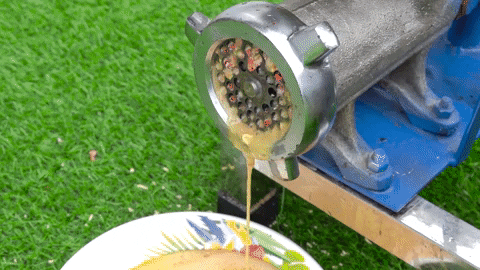 ExperimenMeatGrinder giphyupload colorful meat experiment GIF