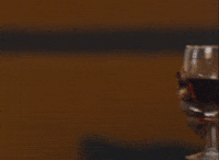 Cheers Agree GIF by To Kill A Monkey