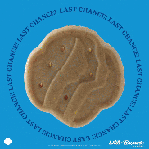 GIF by Little Brownie Bakers