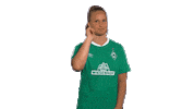 Werderfrauen Emotionen Sticker by SV Werder Bremen