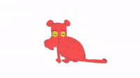LITTLE TIGER