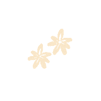 Jasmade flower flowers minimal boho Sticker