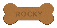 Rocky Sticker by Sam & Ash, LLP