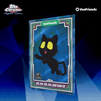 Collect Black Cat GIF by VeeFriends