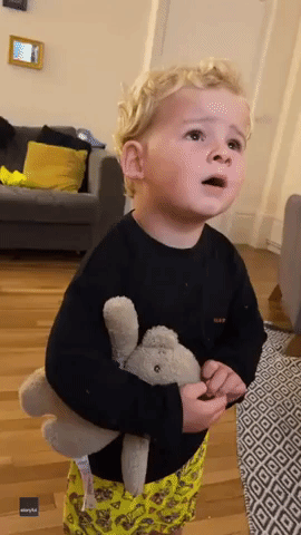 Little Boy Shows Full Range of Emotions While Watching The Simpsons