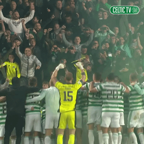 Celtic Fc Win GIF by Celtic Football Club