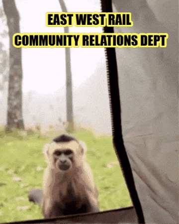 Monkeys GIF by Exposed Tech