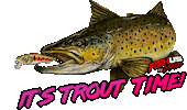 Trout Forelle Sticker by Yuki Competition