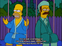 homer simpson GIF