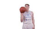 Basketball Spinning Sticker by Donar Official