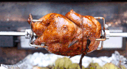 turkey time GIF