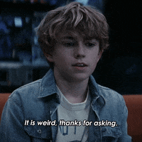 Charlie Thanks For Asking GIF by Paramount+