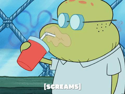 season 5 new digs GIF by SpongeBob SquarePants