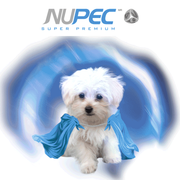 Happy Sticker by Nupec Colombia