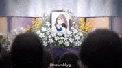 Sakura I Want To Eat Your Pancreas GIF