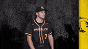 Black And Gold Baseball GIF by Waterloo Warriors