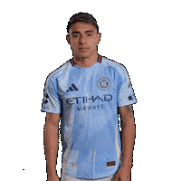 Mls Sticker by New York City FC