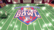kitten bowl countdown to valentine's day GIF by Hallmark Channel