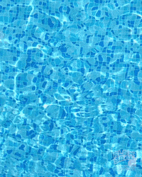 Summer Images GIF by getflexseal